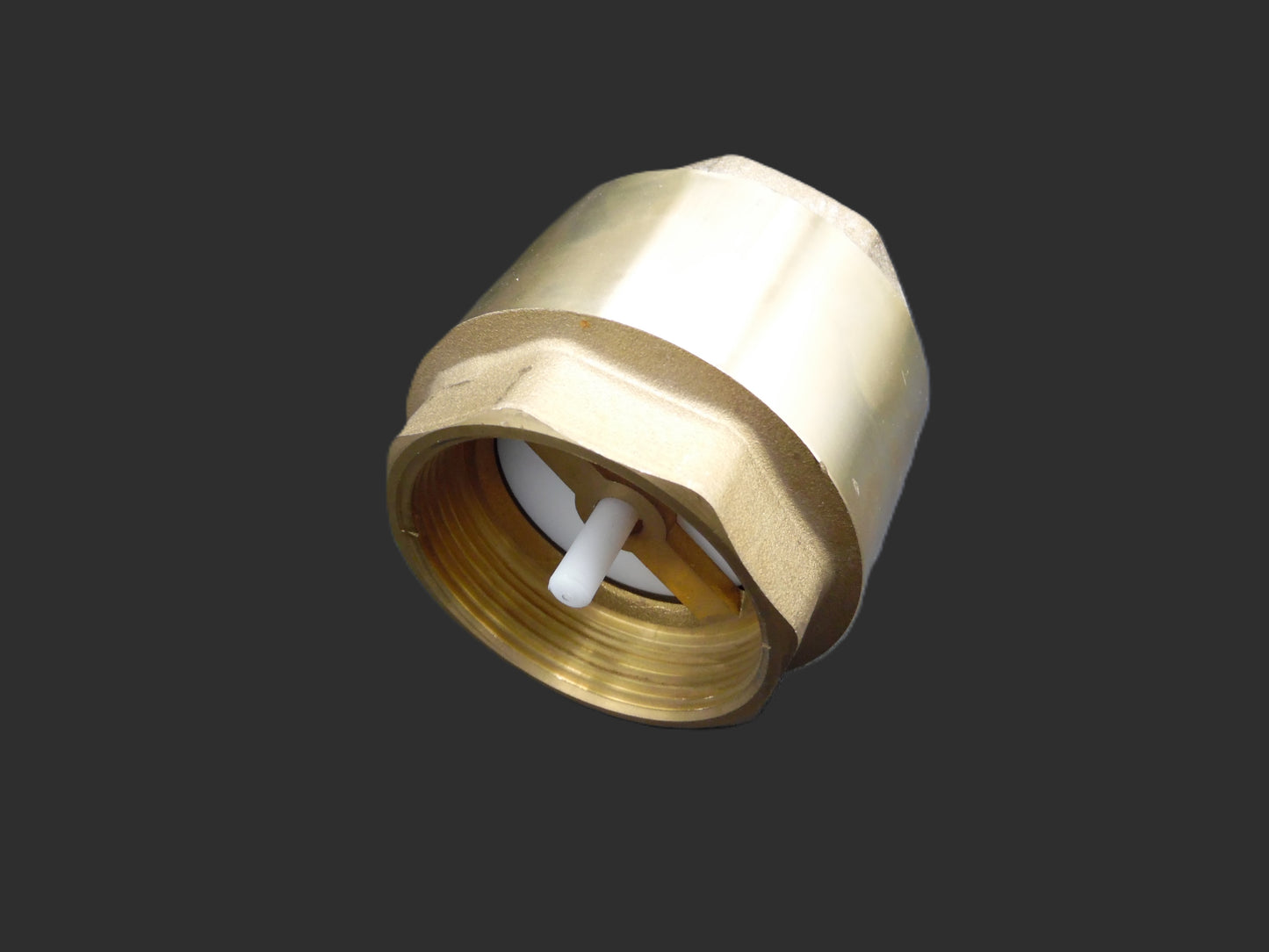 Check Valve 2" - 224076