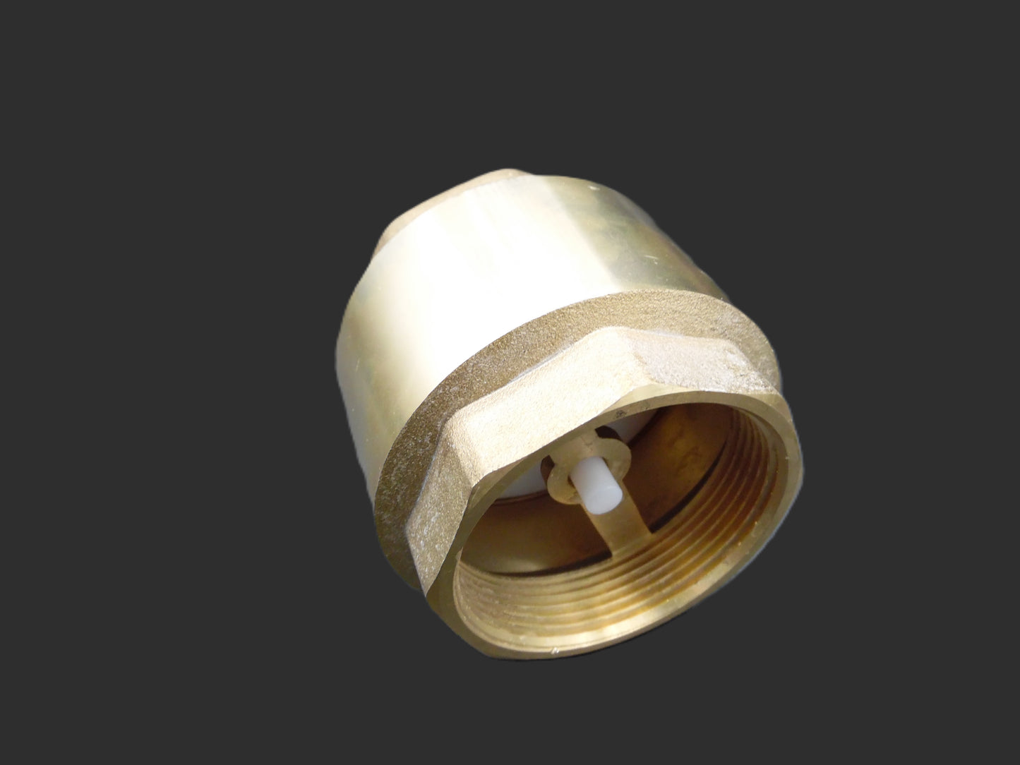 Check Valve 2" - 224076